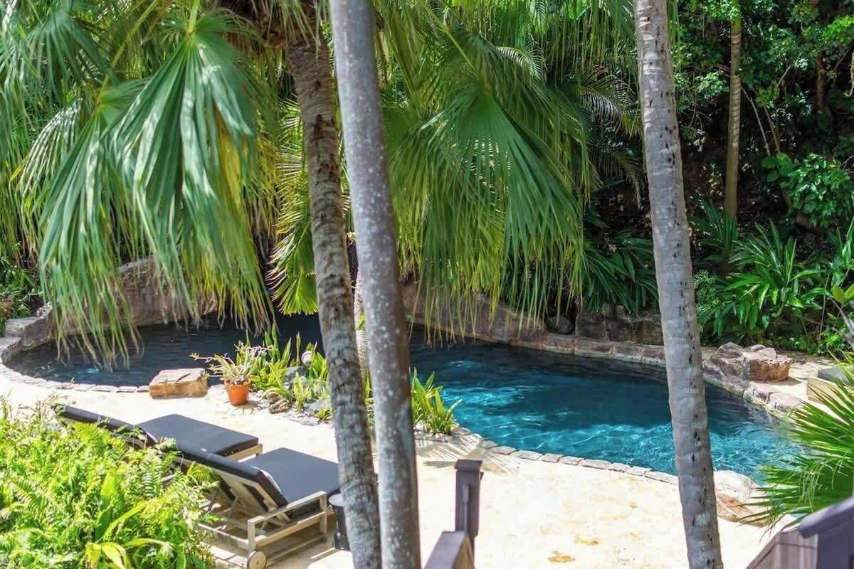 Sun loungers beside the pool under the palm canopy