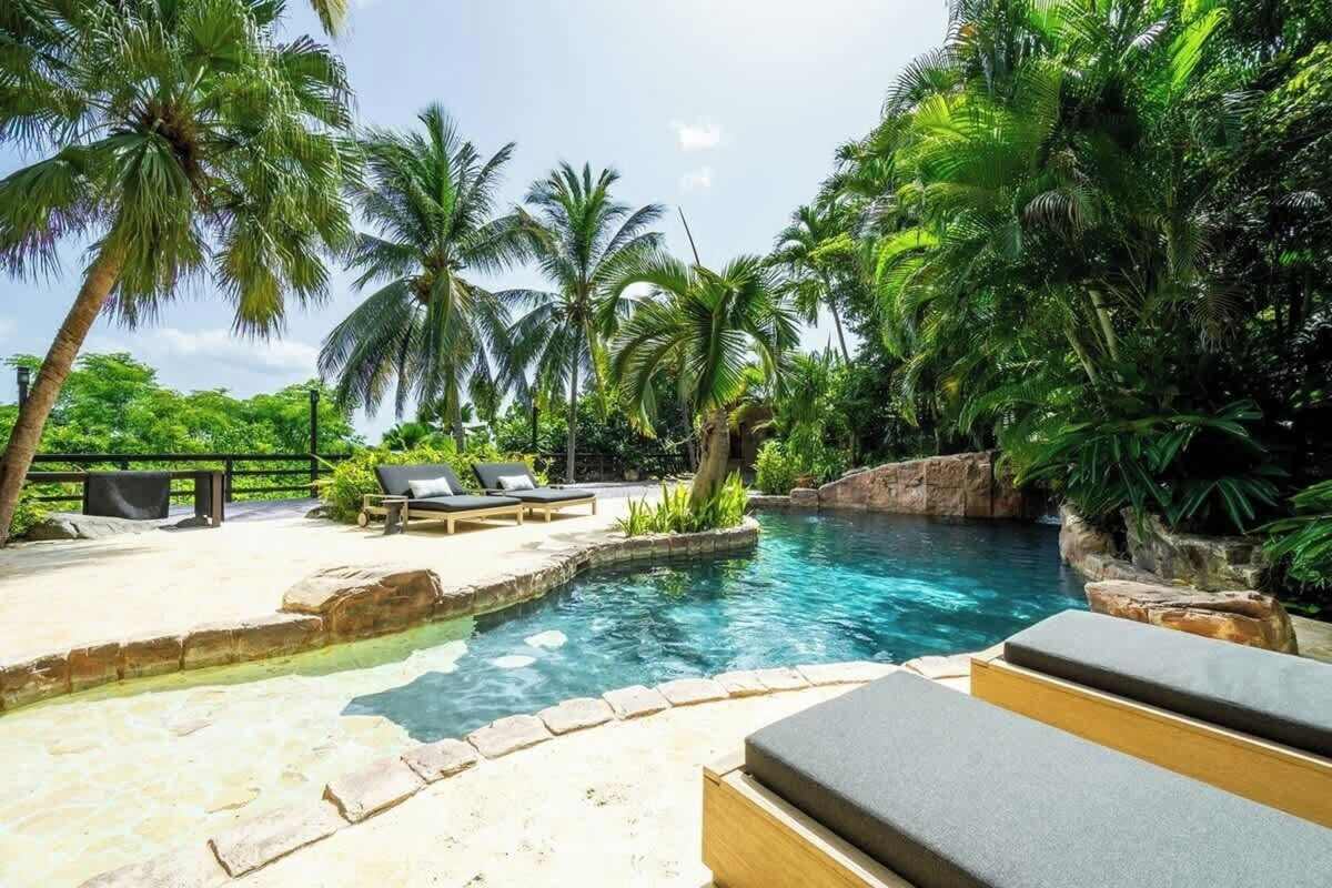 Lagoon-style swimming pool surrounded by tall palms